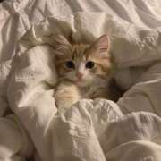 ヒメ日記 2025/04/11 09:36 投稿 ももは 2980円