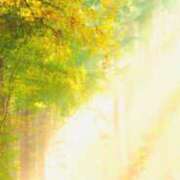 ヒメ日記 2025/04/27 10:28 投稿 ももは 2980円