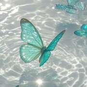 ヒメ日記 2025/05/08 13:34 投稿 ももは 2980円