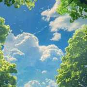 ヒメ日記 2025/05/16 10:13 投稿 ももは 2980円