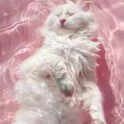 ヒメ日記 2025/05/30 11:02 投稿 ももは 2980円