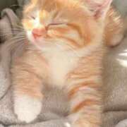 ヒメ日記 2025/06/02 21:23 投稿 ももは 2980円