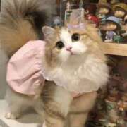 ヒメ日記 2025/06/10 11:46 投稿 ももは 2980円