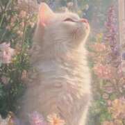 ヒメ日記 2025/08/28 15:04 投稿 ももは 2980円