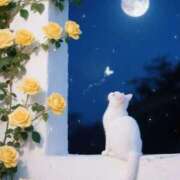 ヒメ日記 2025/09/01 22:33 投稿 ももは 2980円