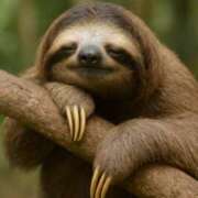 ヒメ日記 2025/09/11 12:24 投稿 ももは 2980円