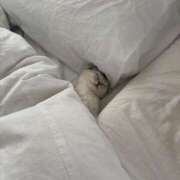 ヒメ日記 2025/10/10 10:43 投稿 ももは 2980円