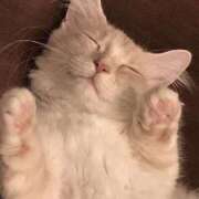 ヒメ日記 2025/10/30 08:43 投稿 ももは 2980円