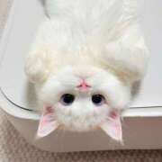 ヒメ日記 2025/11/17 16:03 投稿 ももは 2980円