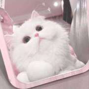 ヒメ日記 2025/11/21 08:33 投稿 ももは 2980円