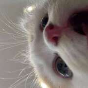 ヒメ日記 2025/11/25 11:33 投稿 ももは 2980円