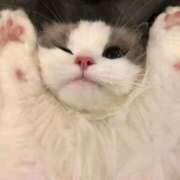 ヒメ日記 2025/12/05 09:23 投稿 ももは 2980円