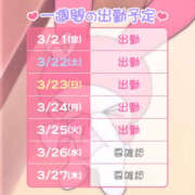 ヒメ日記 2025/03/21 19:21 投稿 ゆさ 折り紙 ORIGAMI