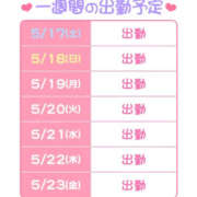 ヒメ日記 2025/05/17 14:36 投稿 ゆさ 折り紙 ORIGAMI