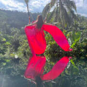 ヒメ日記 2025/07/25 12:24 投稿 ゆさ 折り紙 ORIGAMI