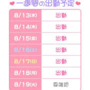 ヒメ日記 2025/08/13 19:48 投稿 ゆさ 折り紙 ORIGAMI