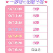 ヒメ日記 2025/09/10 13:12 投稿 ゆさ 折り紙 ORIGAMI