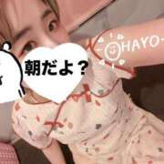 ヒメ日記 2025/01/21 06:26 投稿 おとは マリン千姫