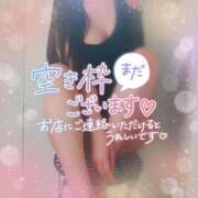 ヒメ日記 2025/03/07 23:33 投稿 すみれ 池袋人妻城