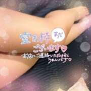 ヒメ日記 2025/03/27 22:19 投稿 すみれ 池袋人妻城