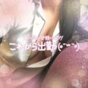 ヒメ日記 2025/03/31 17:48 投稿 すみれ 池袋人妻城