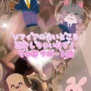 さゆき ソフィアのサポート♡ SOPHIA（ソフィア）