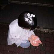 ヒメ日記 2025/04/18 13:15 投稿 水沢 ゆう プルプルオフィスディーバ