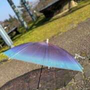 ヒメ日記 2025/04/28 22:14 投稿 水沢 ゆう プルプルオフィスディーバ