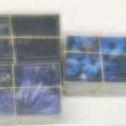 ヒメ日記 2025/08/27 14:14 投稿 水沢 ゆう プルプルオフィスディーバ