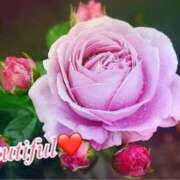 ヒメ日記 2025/05/09 14:07 投稿 住吉 ひかる RANUNCULUS(ラナンキュラス)