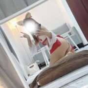 ヒメ日記 2025/03/14 21:12 投稿 いちか Tokyo fairy land-東京フェアリーランド-