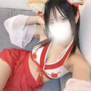 ヒメ日記 2025/05/14 05:45 投稿 いちか Tokyo fairy land-東京フェアリーランド-