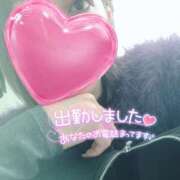 ヒメ日記 2024/12/25 12:24 投稿 ゆうき 宮崎ちゃんこ中央通店