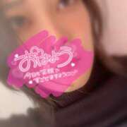 ヒメ日記 2024/12/31 13:04 投稿 ゆうき 宮崎ちゃんこ中央通店