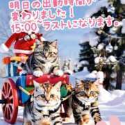 ヒメ日記 2024/12/22 14:16 投稿 天海あまね ABC 岩手ソープ