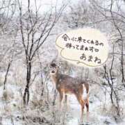 ヒメ日記 2024/12/26 20:31 投稿 天海あまね ABC 岩手ソープ