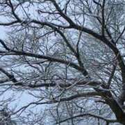 ヒメ日記 2024/12/29 12:46 投稿 天海あまね ABC 岩手ソープ