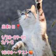 ヒメ日記 2025/01/26 13:01 投稿 天海あまね ABC 岩手ソープ