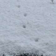 ヒメ日記 2025/01/30 07:31 投稿 天海あまね ABC 岩手ソープ