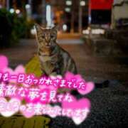 ヒメ日記 2025/02/07 23:31 投稿 天海あまね ABC 岩手ソープ