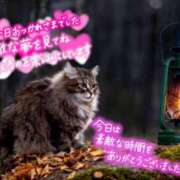 ヒメ日記 2025/02/12 00:01 投稿 天海あまね ABC 岩手ソープ