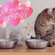 ヒメ日記 2025/02/12 15:46 投稿 天海あまね ABC 岩手ソープ