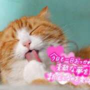 ヒメ日記 2025/03/14 00:31 投稿 天海あまね ABC 岩手ソープ