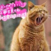 ヒメ日記 2025/03/28 00:16 投稿 天海あまね ABC 岩手ソープ