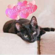 ヒメ日記 2025/04/14 23:46 投稿 天海あまね ABC 岩手ソープ