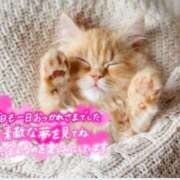 ヒメ日記 2025/04/16 00:31 投稿 天海あまね ABC 岩手ソープ