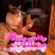 ヒメ日記 2025/04/17 23:46 投稿 天海あまね ABC 岩手ソープ