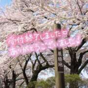 ヒメ日記 2025/04/28 12:01 投稿 天海あまね ABC 岩手ソープ