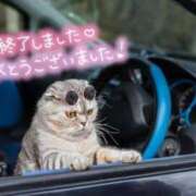 ヒメ日記 2025/05/04 00:31 投稿 天海あまね ABC 岩手ソープ