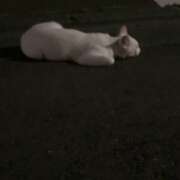 ヒメ日記 2025/06/21 10:16 投稿 天海あまね ABC 岩手ソープ